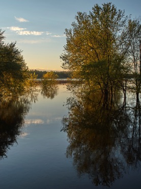 Sudbury River in Flood